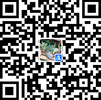 支付宝收款码